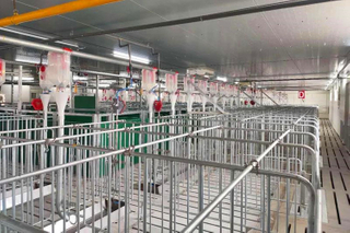 بناء مزرعة الخنازير الجديدة ، إطار الصلب الجلفاني المصنعة 