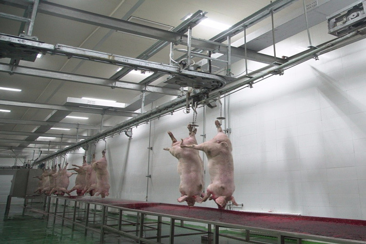 مصنع تجهيز المسلخ الجاهز لصناعة لحم الخنزير