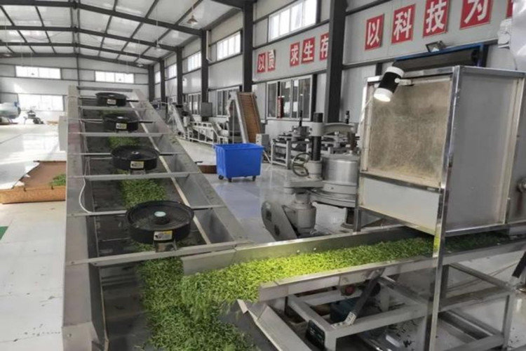 الهيكل الصلب الجاهز لمصنع معالجة الشاي